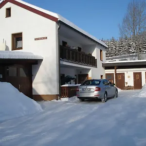 Haus Steinwaldblick Apartment